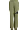 adidas Essentials Big Logo Jr - pantaloni fitness - ragazzo, Green