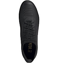 adidas Predator 19.2 FG - scarpe da calcio terreni compatti, Black