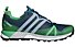 adidas Terrex Agravic GTX - scarpe trail running - uomo, Blue/Green