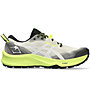 Asics Gel Trabuco 12 - scarpe trail running - uomo, Grey/Light Green