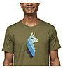 Cotopaxi Llama Stripes Organic - T-Shirt - uomo, Dark Green