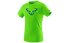 Dynafit Graphic - T-Shirt - uomo, Green/Light Blue
