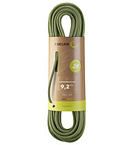 Edelrid Hummingbird Eco Dry 9,2mm - corda singola, Green