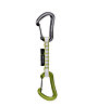 Edelrid Nineteen G Set - rinvio, Green/Silver