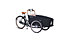 Johnny Loco E-Cargo Dutch Delight - E-Bike, Black