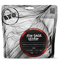 Lyo Expedition Five-Spice Chicken - cibo per il trekking, Brown