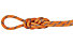 Mammut Alpine Sender Dry 9.0 mm - corda singola/mezza/gemella, Orange