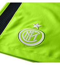 Nike Inter Mailand Stadium Home/Away/Third Fußballshorts Herren, Green