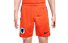 Nike Netherlands 2024 Home - Fußballhose - Herren, Orange/Blue