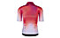 Q36.5 Gregarius Pro QLab - maglia ciclismo - uomo, Red