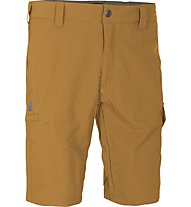 Salewa Pordoi Dry'ton Shorts, Bronze Brown