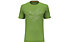 Salewa Pure Chalk Dry M - T-shirt - Herren, Green/Light Grey
