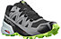 Salomon Speedcross 5 GTX - Trailrunning Schuhe - Herren, Grey/Light Green