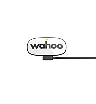 Wahoo Trackr HR - Brustgurt, Black