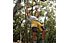 yy vertical Climbing Balls 10cm - accessorio per allenamento arrampicata, Brown